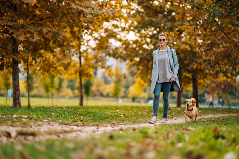 7 Awesome Feel-Good Things to Do This Autumn